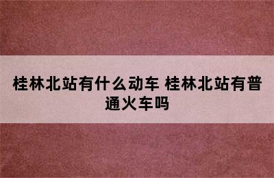 桂林北站有什么动车 桂林北站有普通火车吗